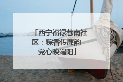 西宁福禄巷南社区：粽香传廉韵 党心映端阳